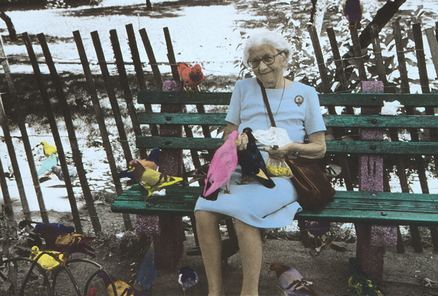 Bird Woman of Central Park - Jane Krensky Photographer